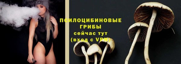 круглые Алексеевка