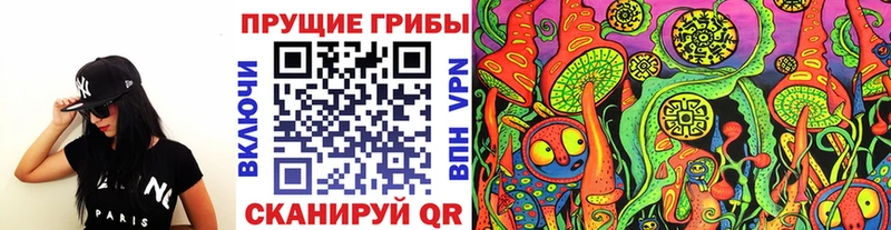Галлюциногенные грибы Psilocybe Топки
